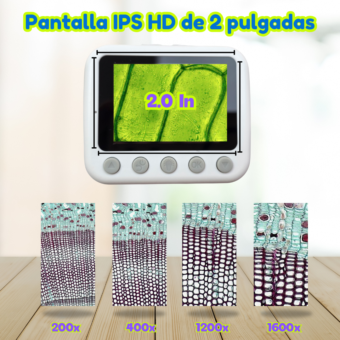 Microscopio digitale per imparare giocando